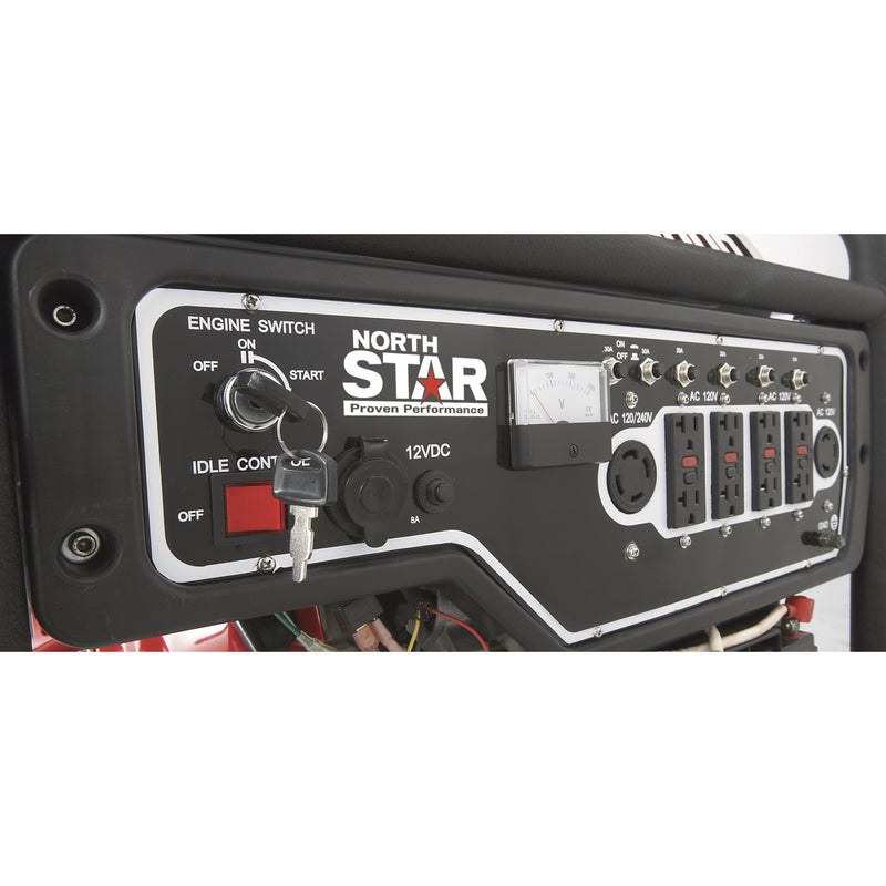 NorthStar Portable Generator with Honda GX390 Engine — 8000 Surge Watts, 6600 Rated Watts, Electric Start