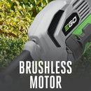 MPS1001 - EGO POWER+ Multi-Head Combo Kit; 10" Pole Saw & Power Head with 2.5Ah battery & standard charger