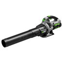 LB5302 EGO POWER+ 530 CFM Blower w/ Battery & Charger